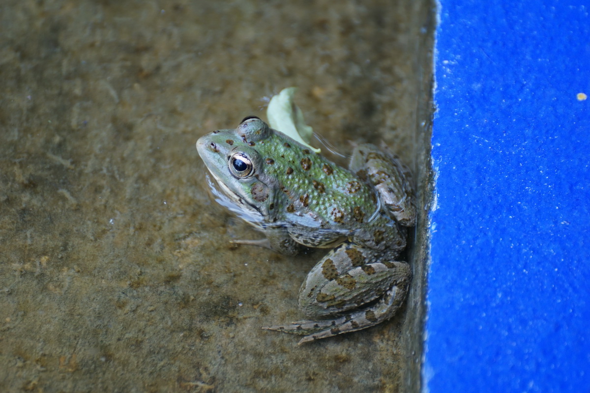 DSC01409.JPG