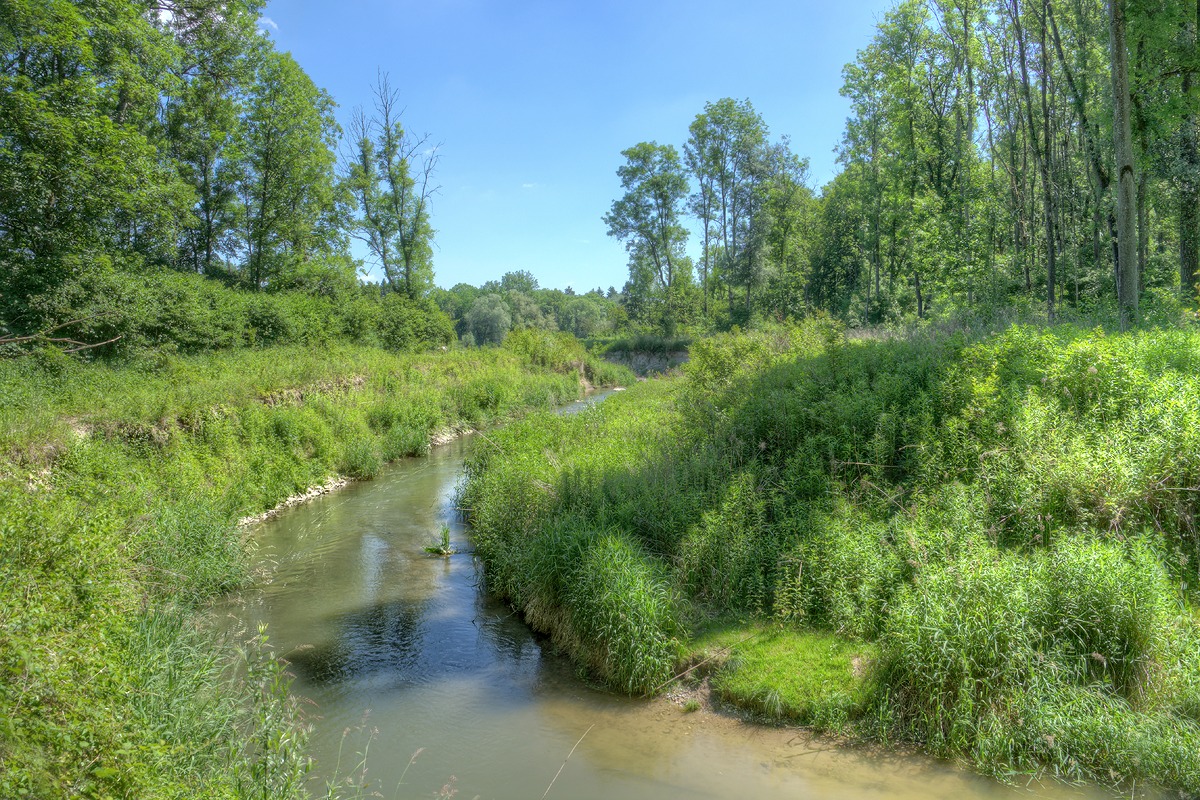 DSC00675_6_7_tonemapped_01.jpg