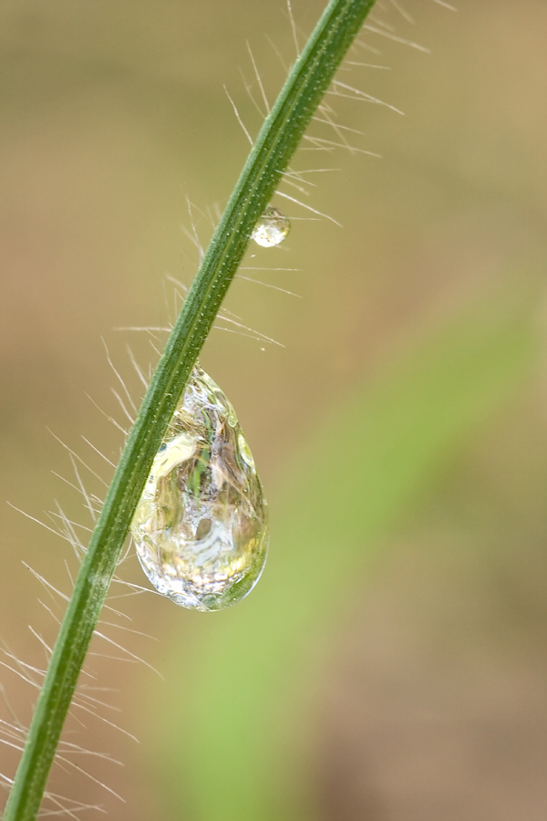 _MG_5770.jpg