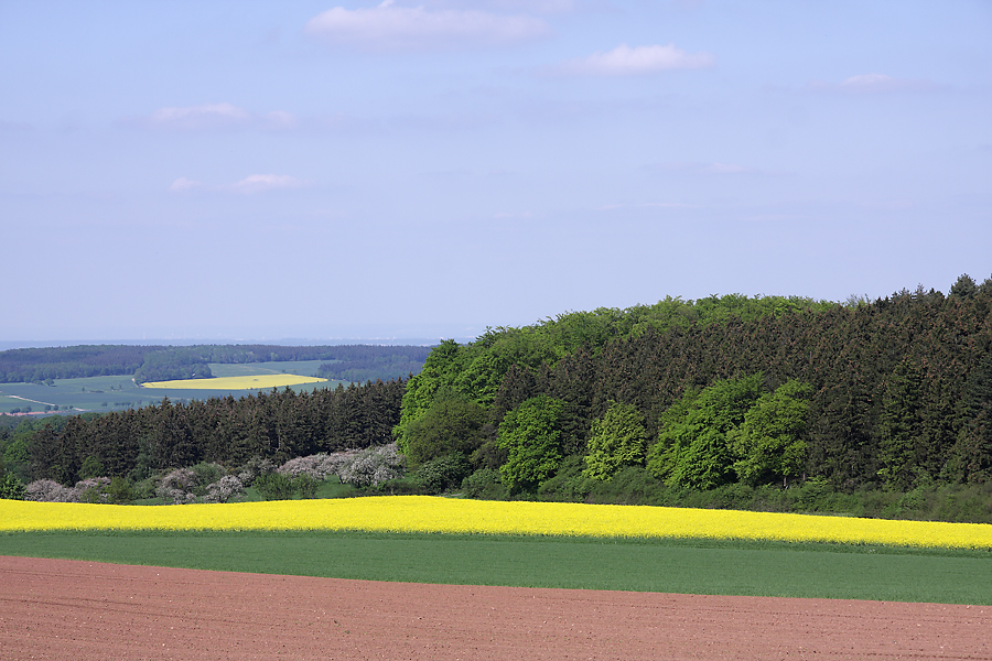 landw_3felder_wald_974.jpg