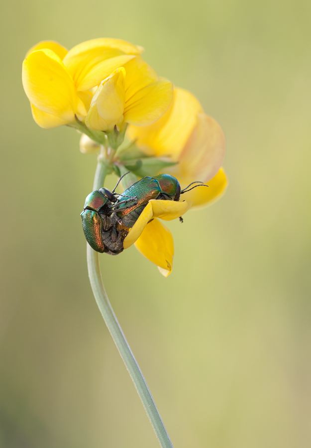 20100614_mg_9533_2_1_198.jpg