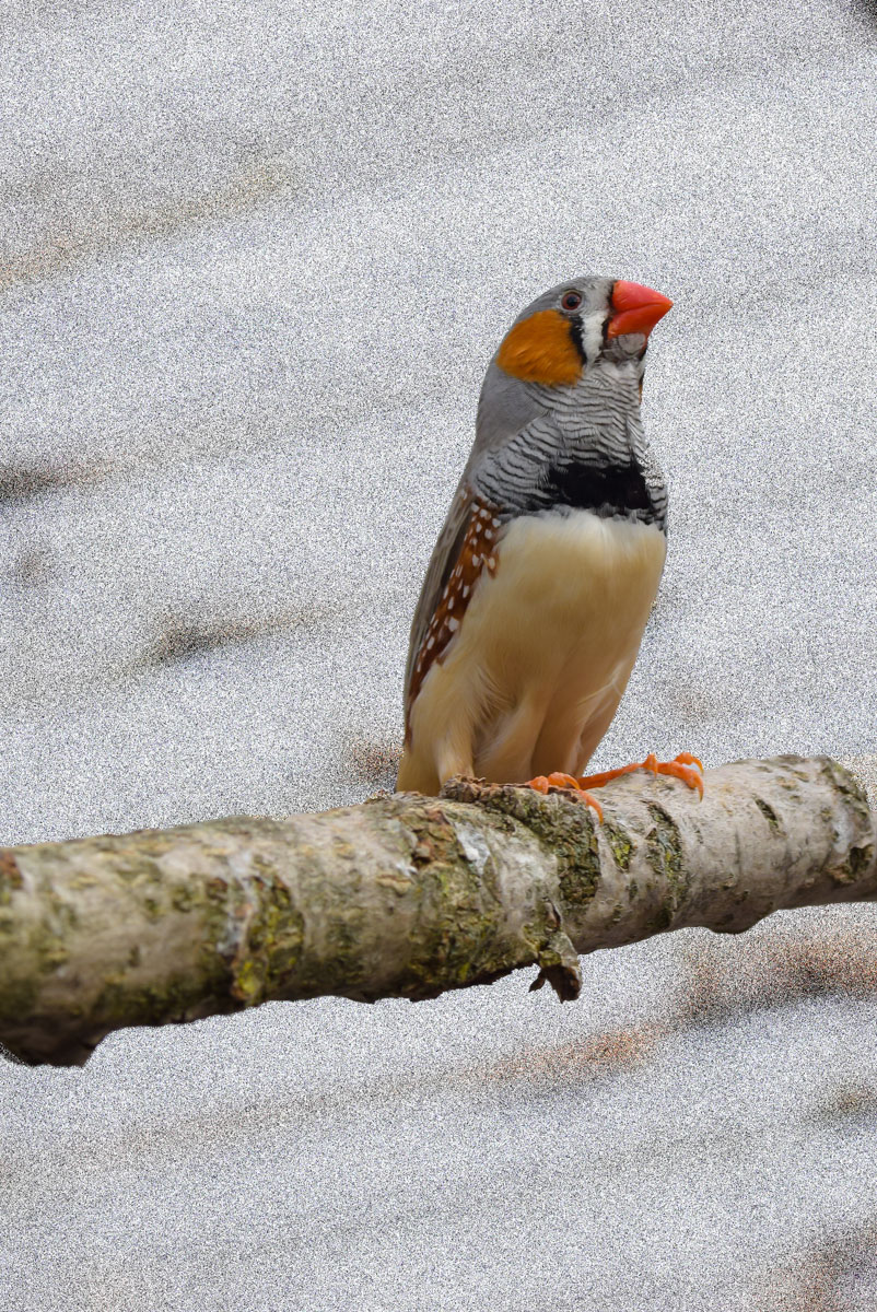 2016_02060017 (2).jpg