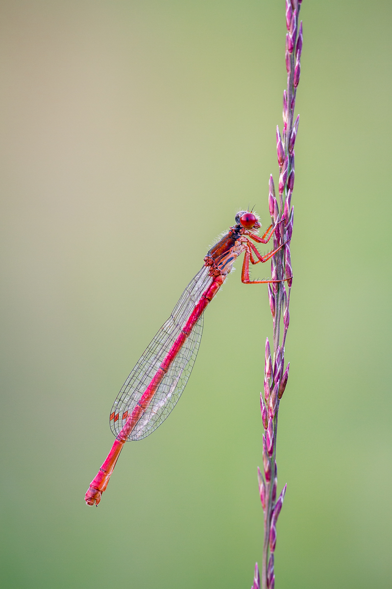 D7_25448-LR.jpg