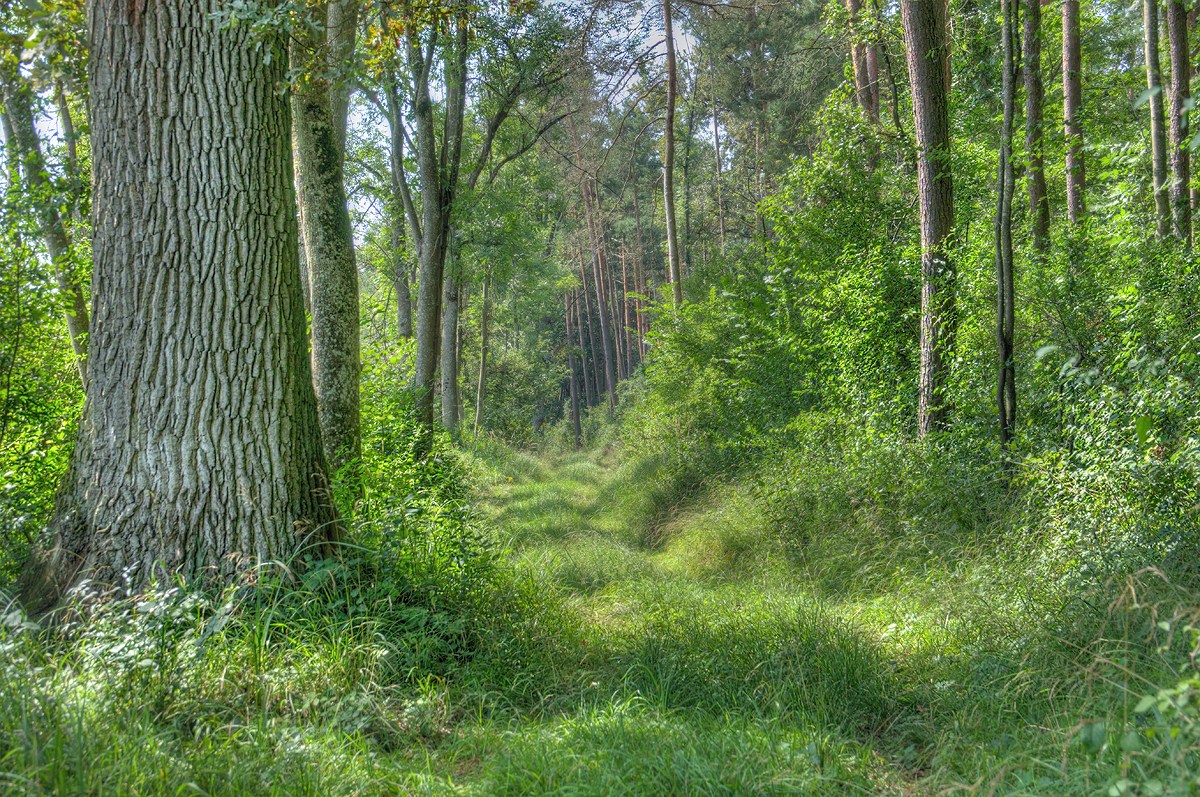 DSC01928_29_30_tonemapped.jpg