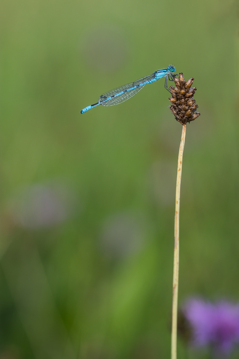 20170817-184142.jpg