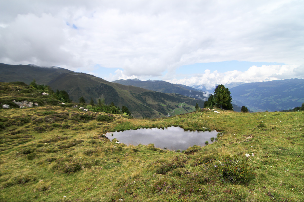 habitat_01_IMG_7751.jpg
