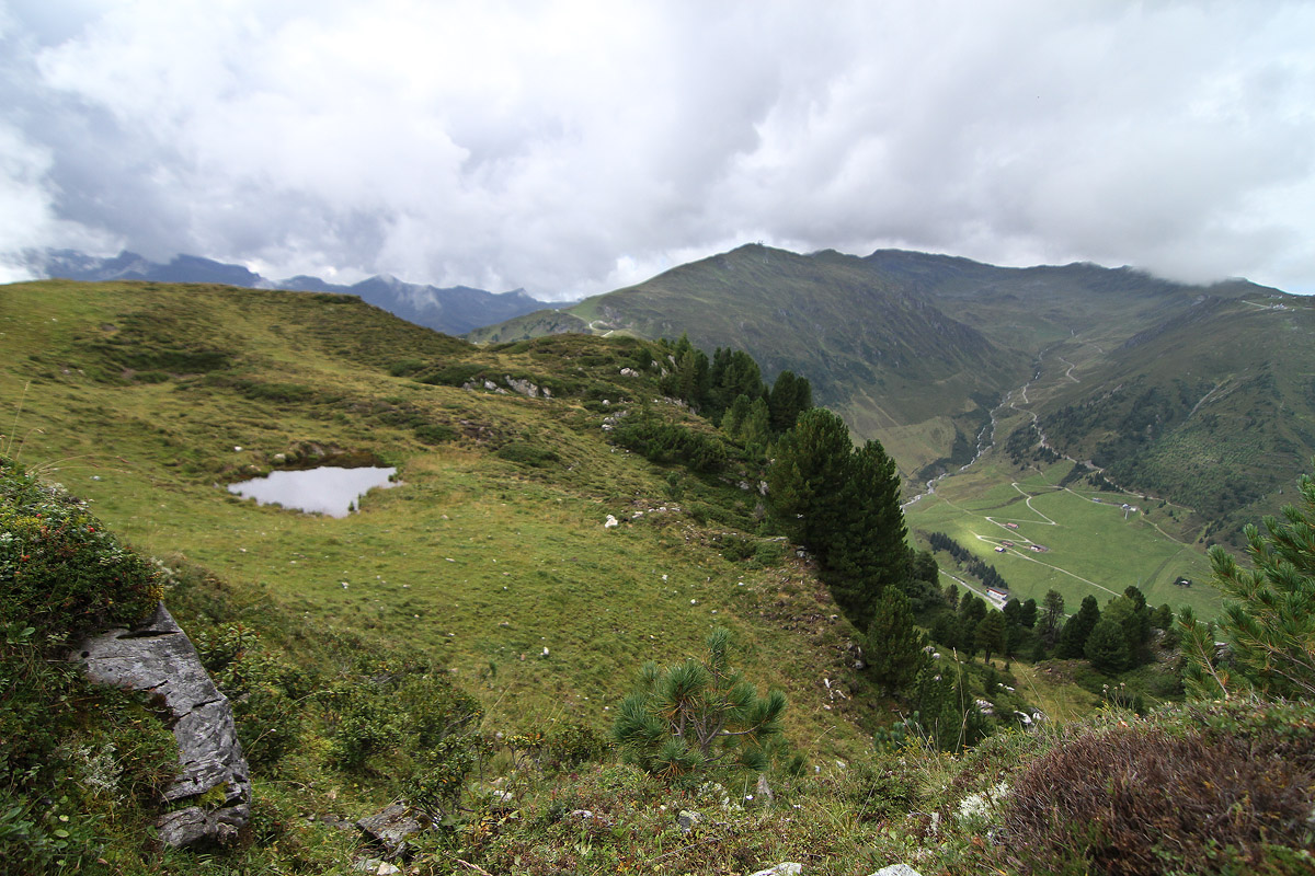 habitat_02_IMG_7743.jpg