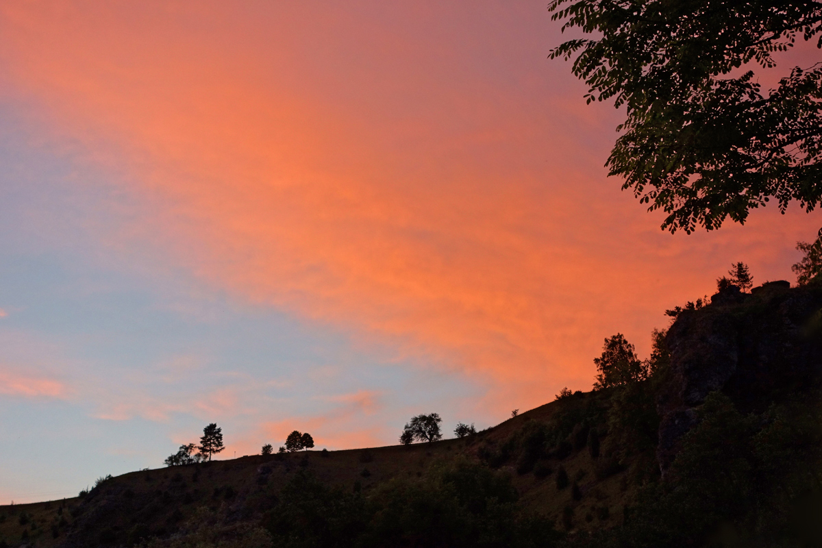DSC02373.1.jpg