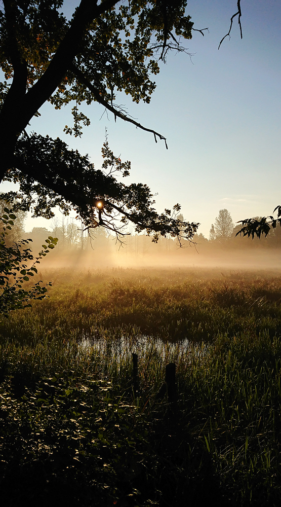 DSC_0916---Kopie.jpg