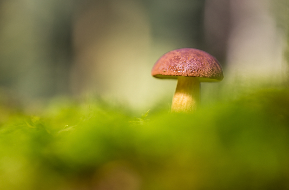 20170930-135712-B9H8.jpg
