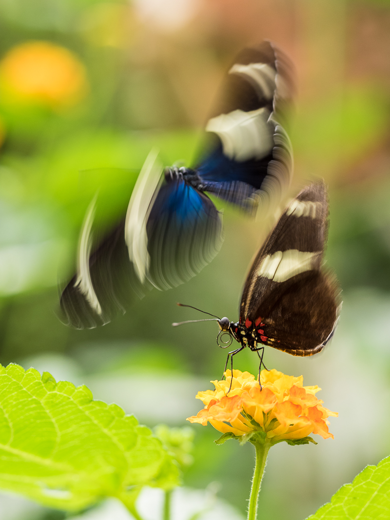 Dynamik (1 von 1).jpg