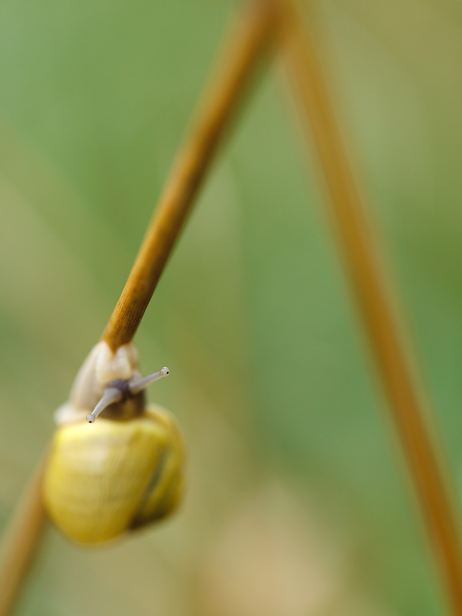 20130817_0018-81-Kopie.jpg