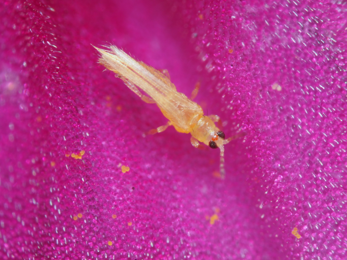 P9192519a.jpg