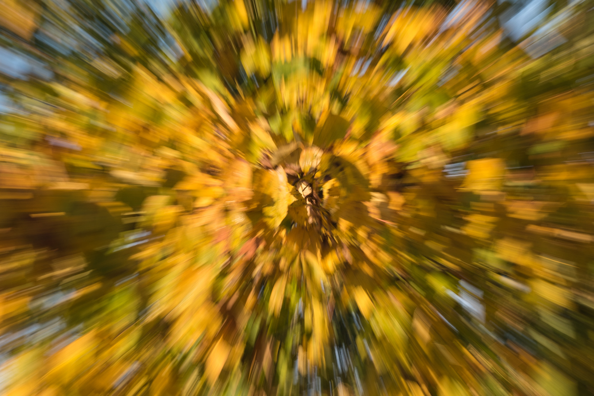 Herbst-zoom-7373.jpg