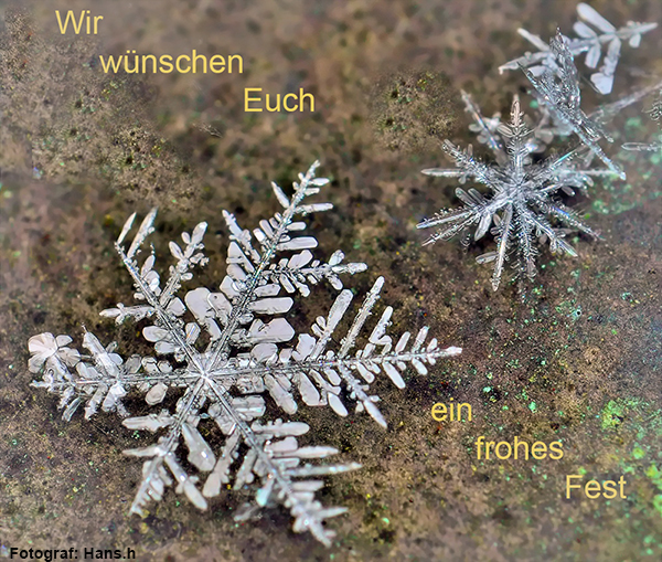 Fotograf-Hans.h_Weihnachten_0490a.jpg