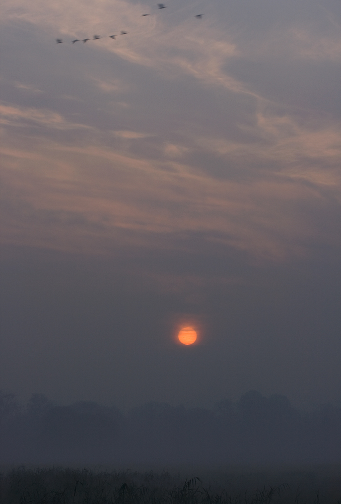 _MG_6614.jpg