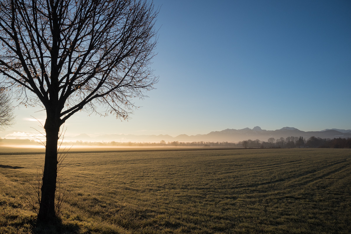 Weihnachtsmorgen-240053.jpg