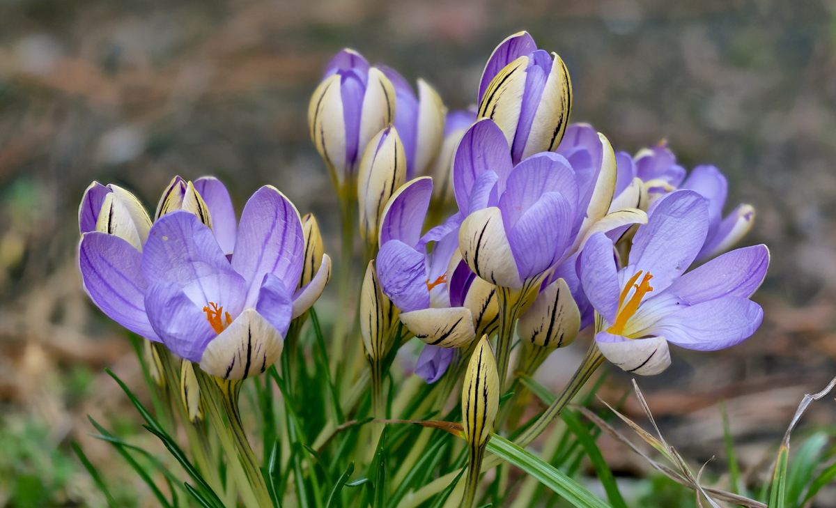 2018-01-09 17-03-53 (C).jpg