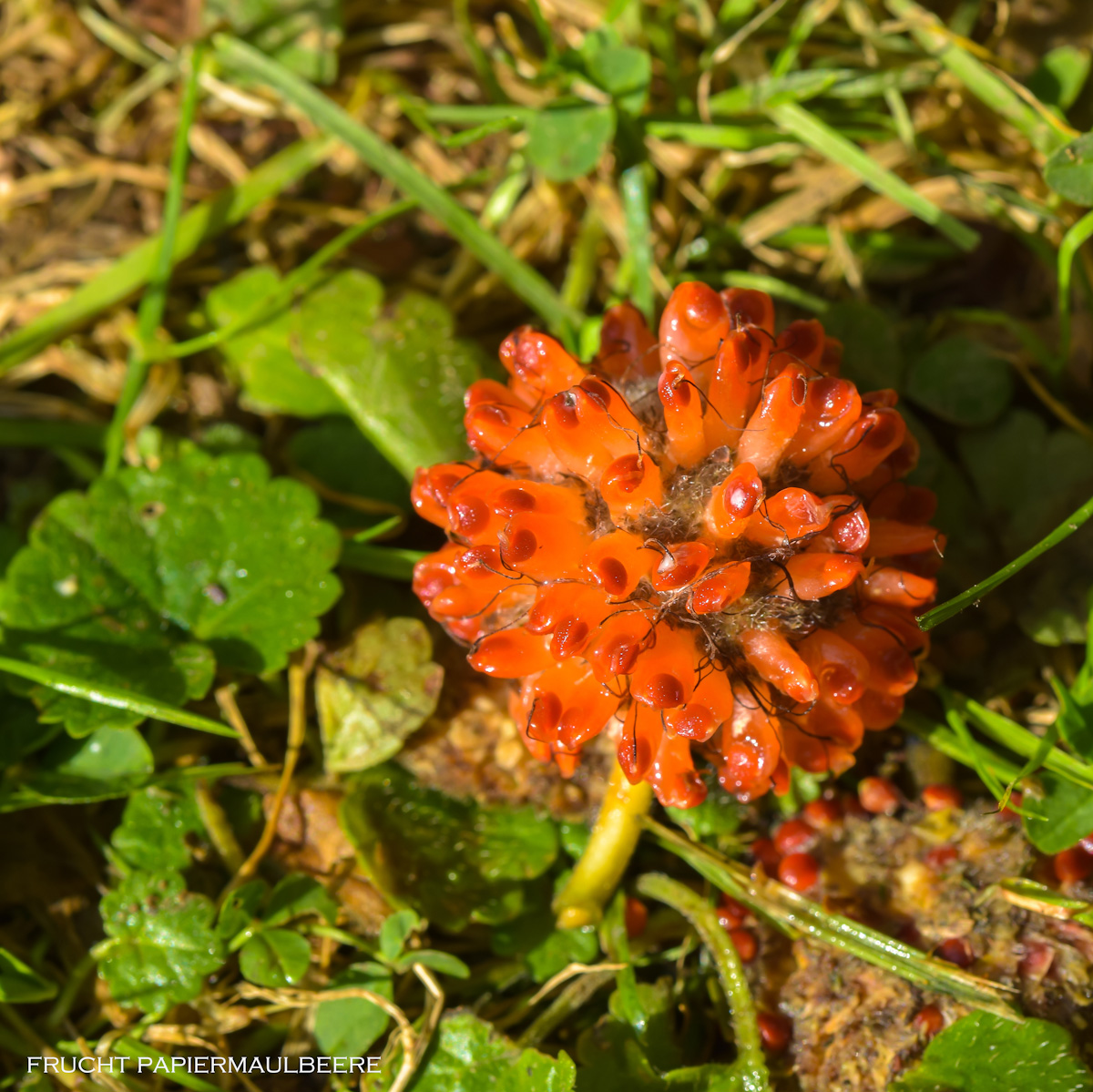 2016_10210013.jpg
