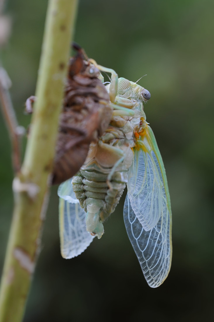 DSC_4756_01.JPG