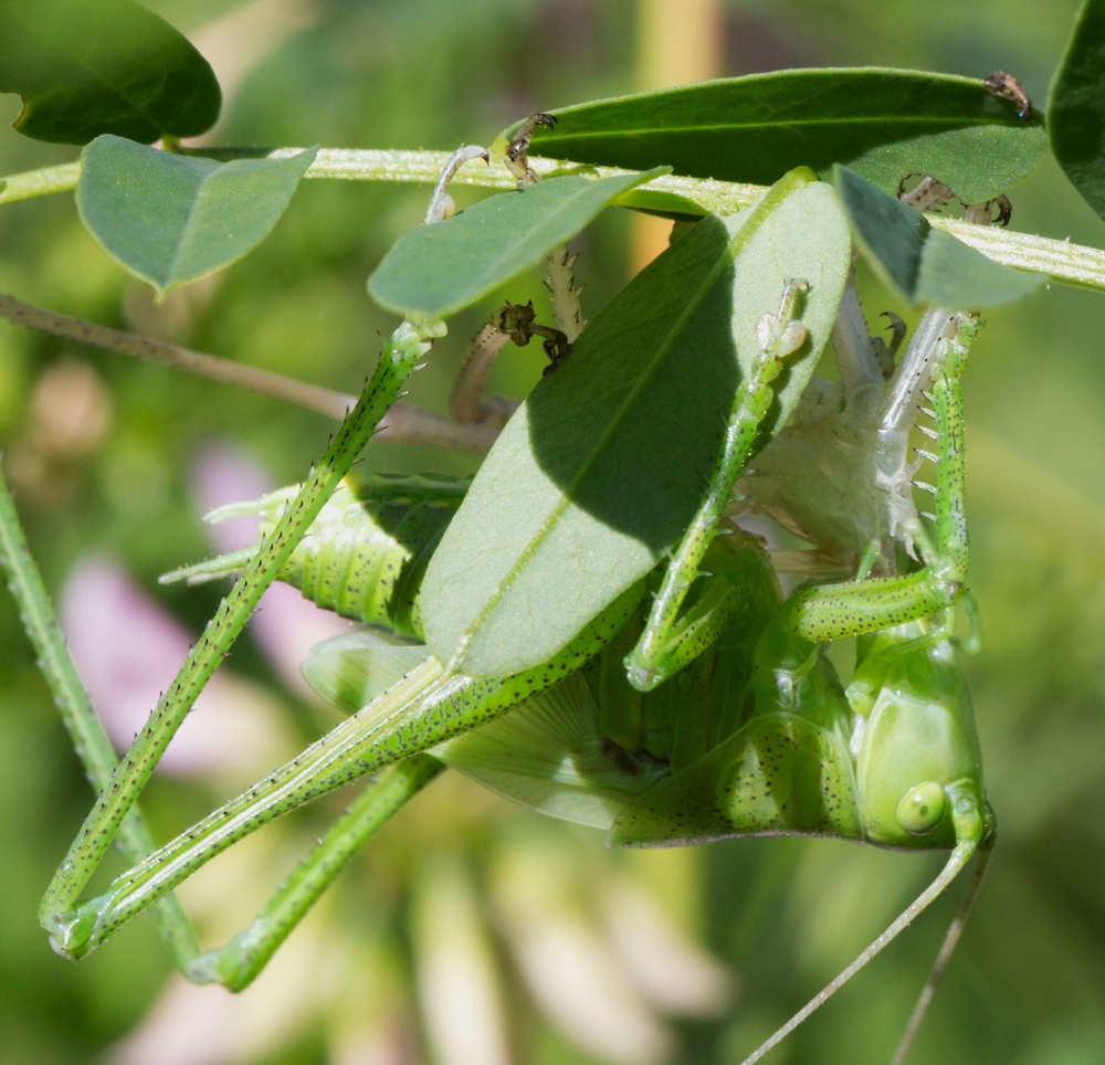 comp_IMG_0726 (2).jpg