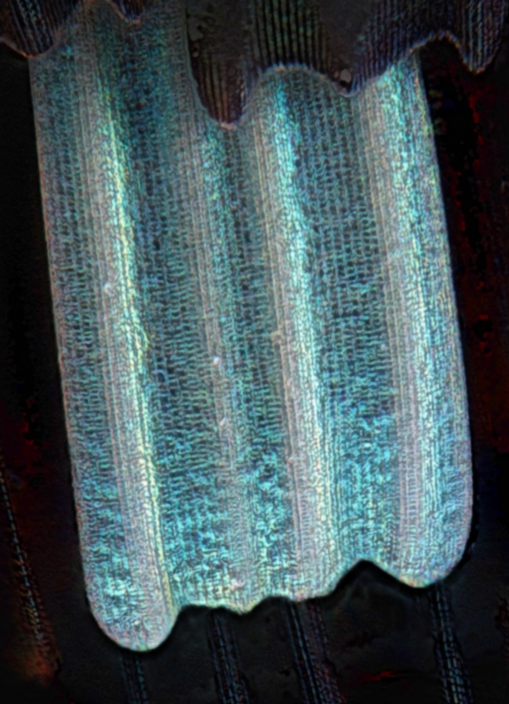 Verwaklung entfernt.01jpg.jpg