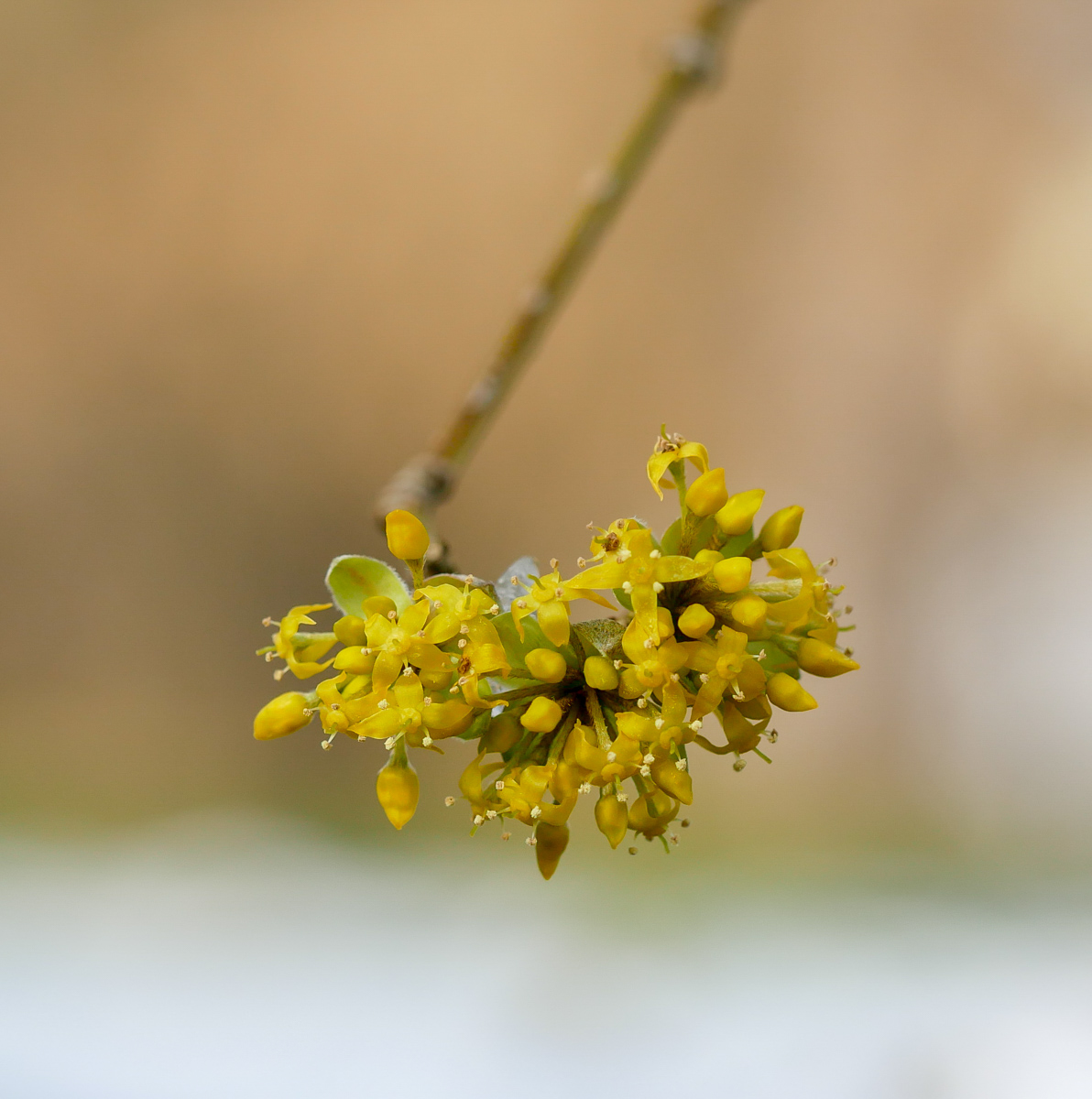 2018_02210005.jpg