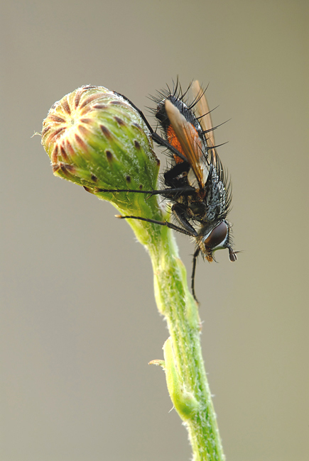 DSC_0408Web1.jpg