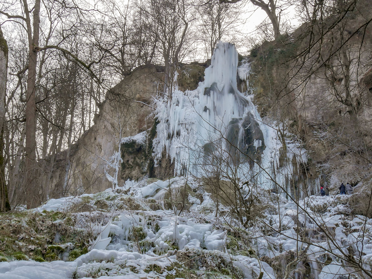 2018_02280058.jpg