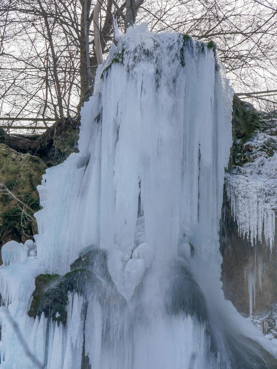 2018_02280067.jpg