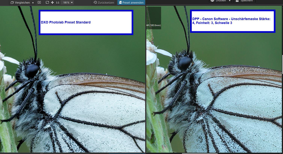 1Vergleich-DXO-Photolab-mit-DPP-Canon.jpg
