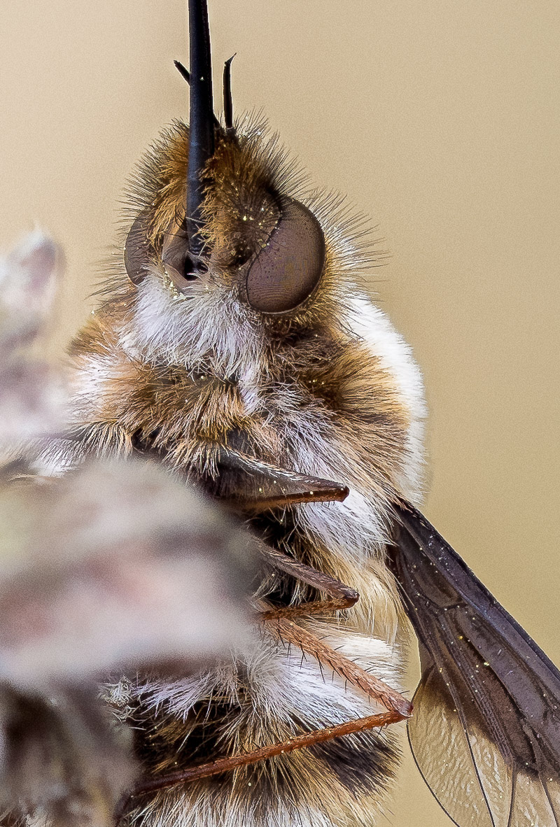 Ready for take off Ausschnitt (1 von 1).jpg