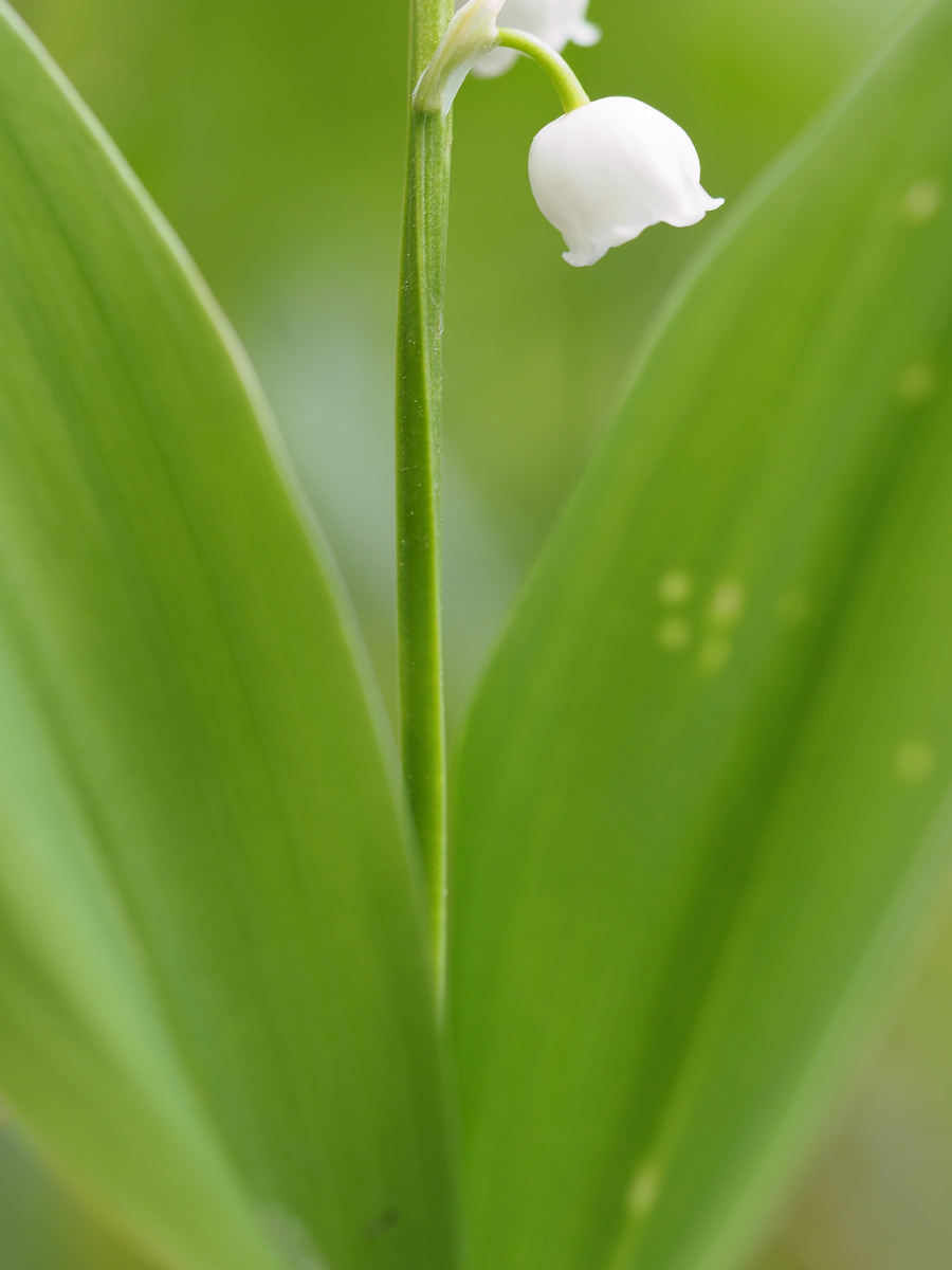 20180501_137---Kopie.jpg