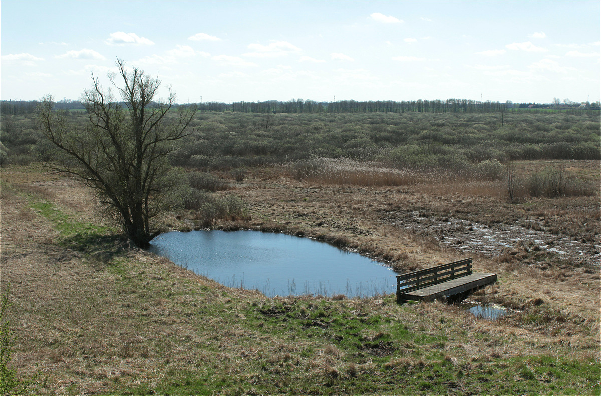 peenewiesen48943231.jpg