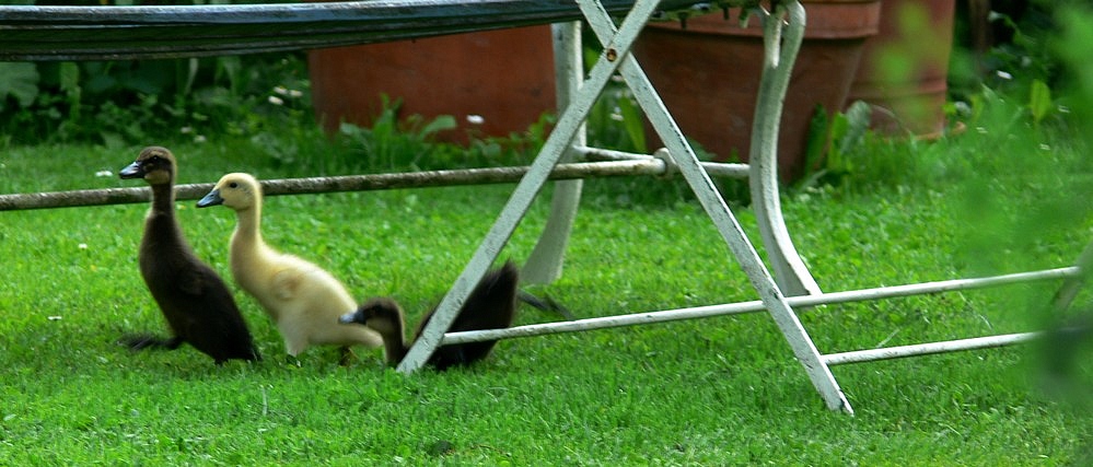 10.06.08_(652).jpg