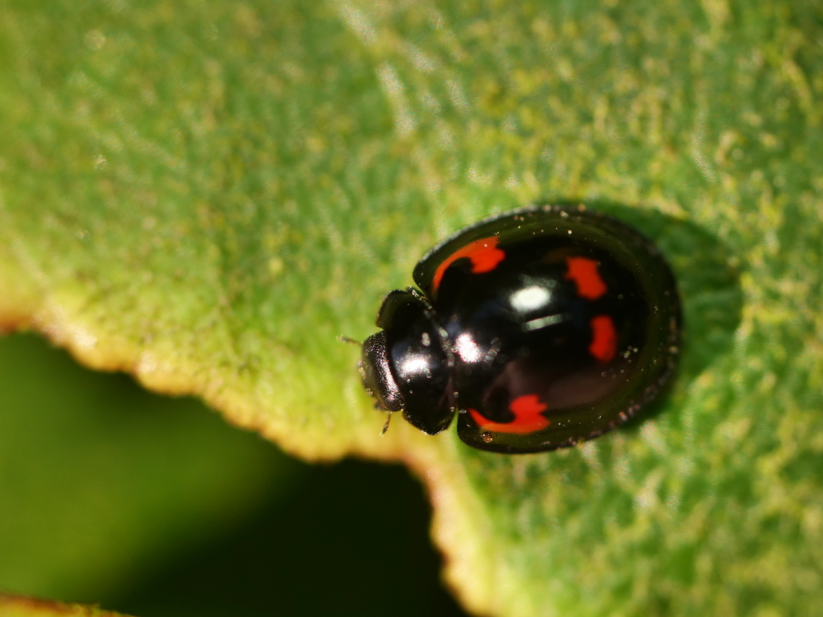 xP1645219.jpg