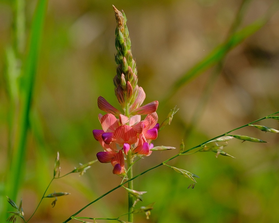 DSCF3114.JPG