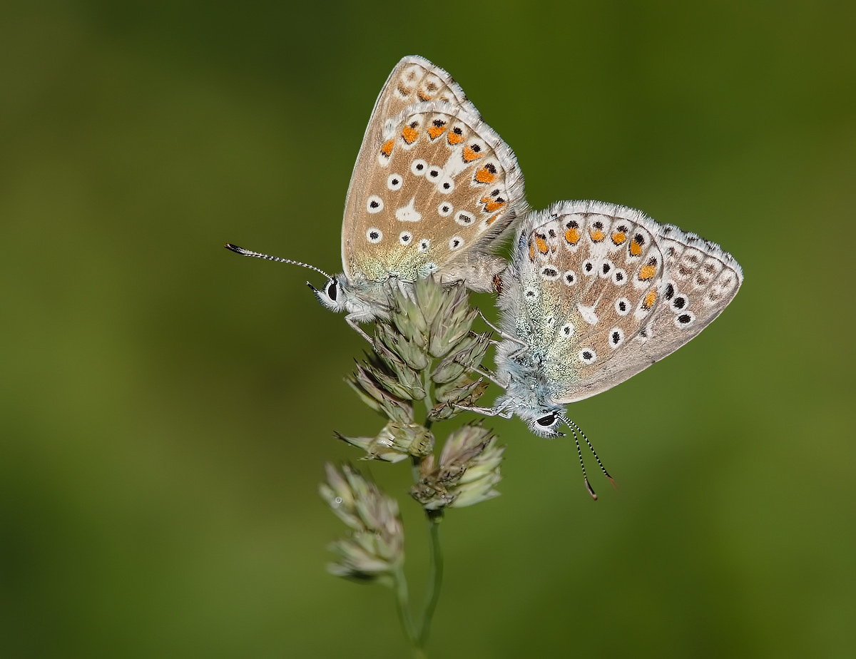 DSC00391---Kopie.jpg