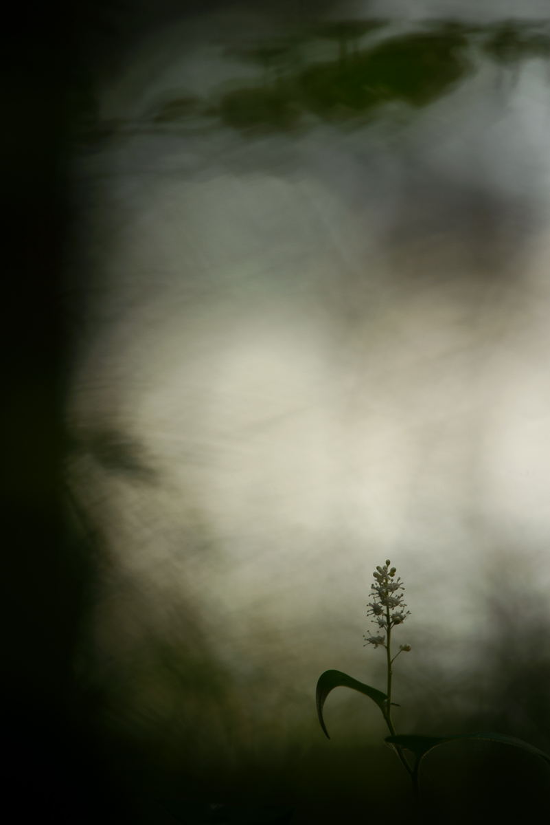 20180524-_DSC4281-klein.jpg