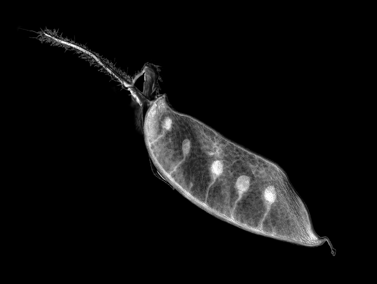 0LY04572-Bearbeitet - Kopie.jpg