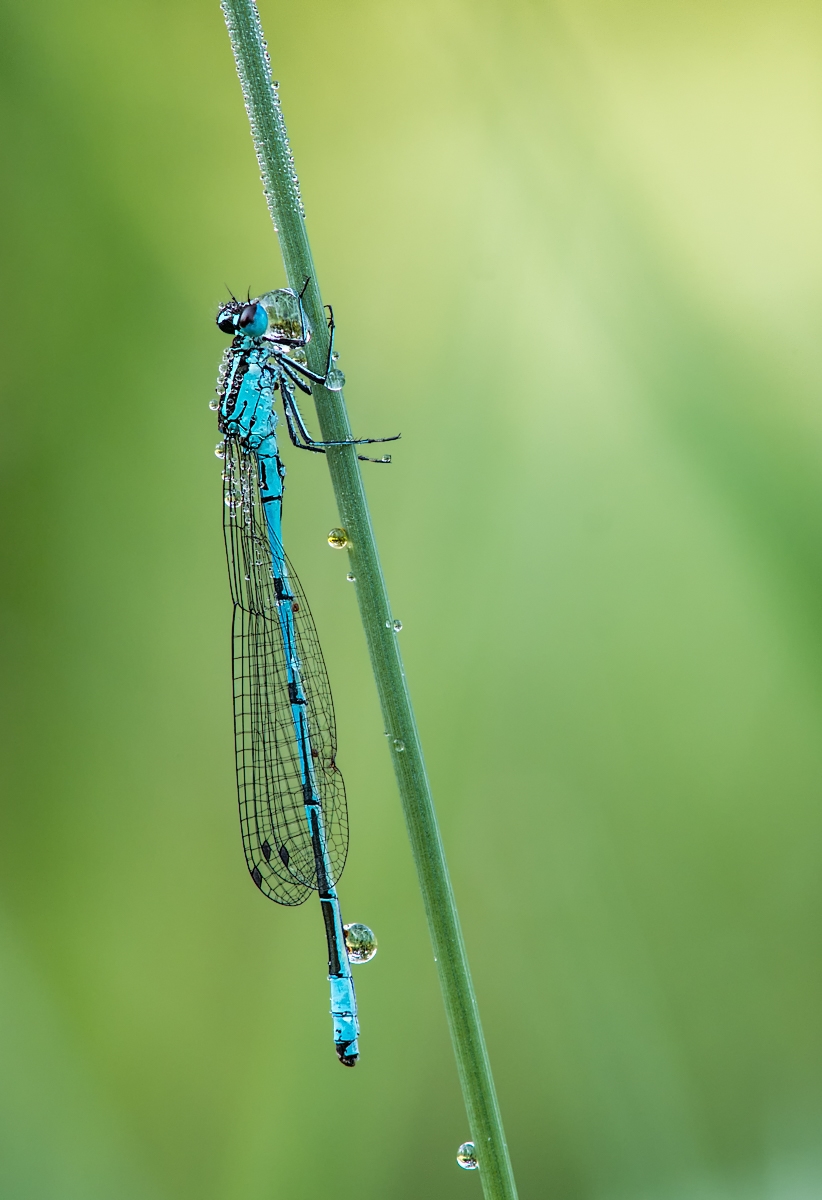 wasserbett01 (1 von 1).jpg