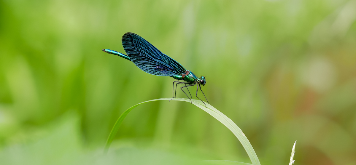 2018_05310124.jpg