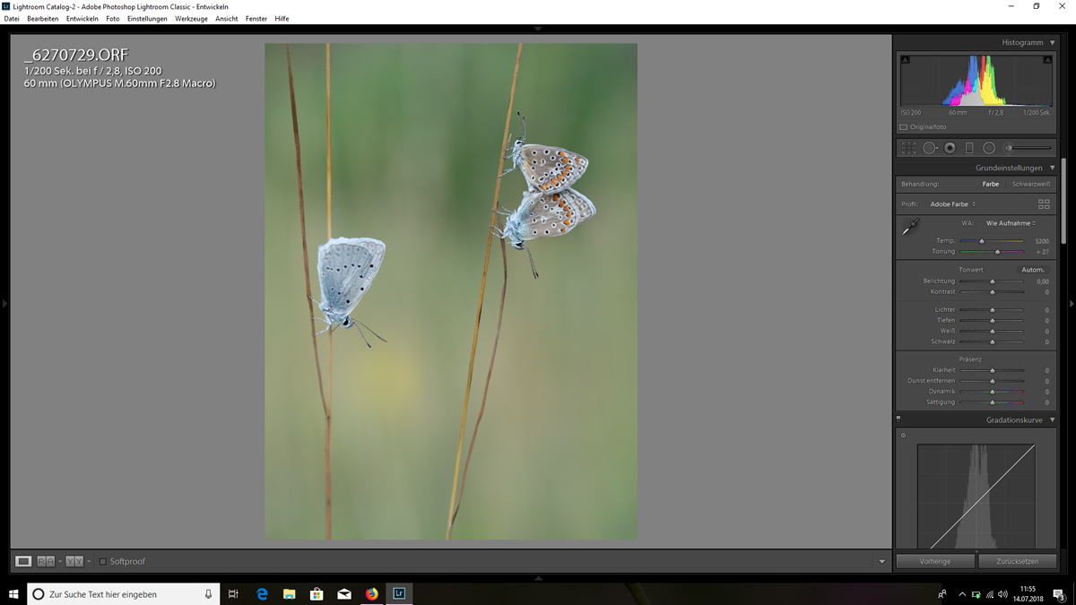 Trio-RAW-unbearbeitet.jpg