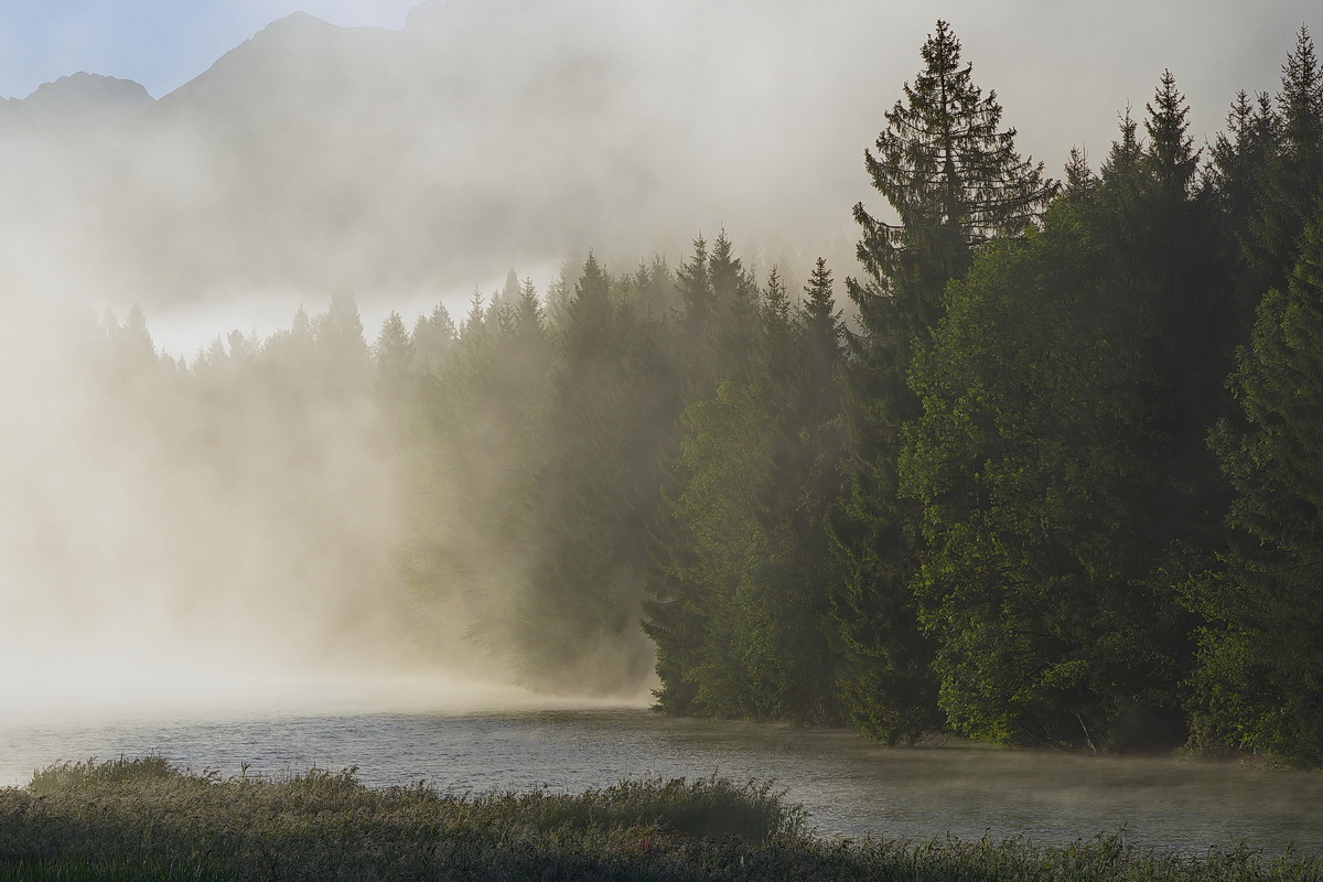 DSC08502 Morgens wenn die Nebel weichen... kl.jpg