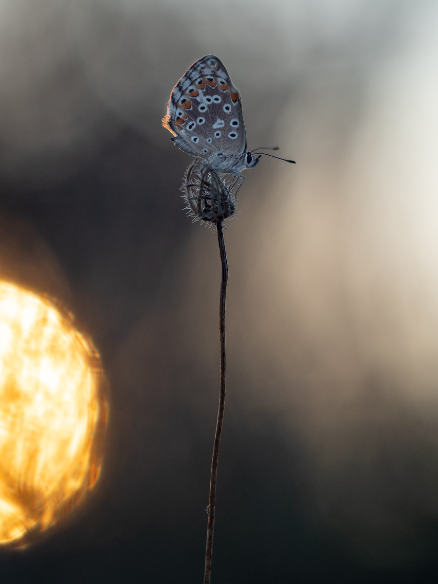 umbrien_blue5.jpg