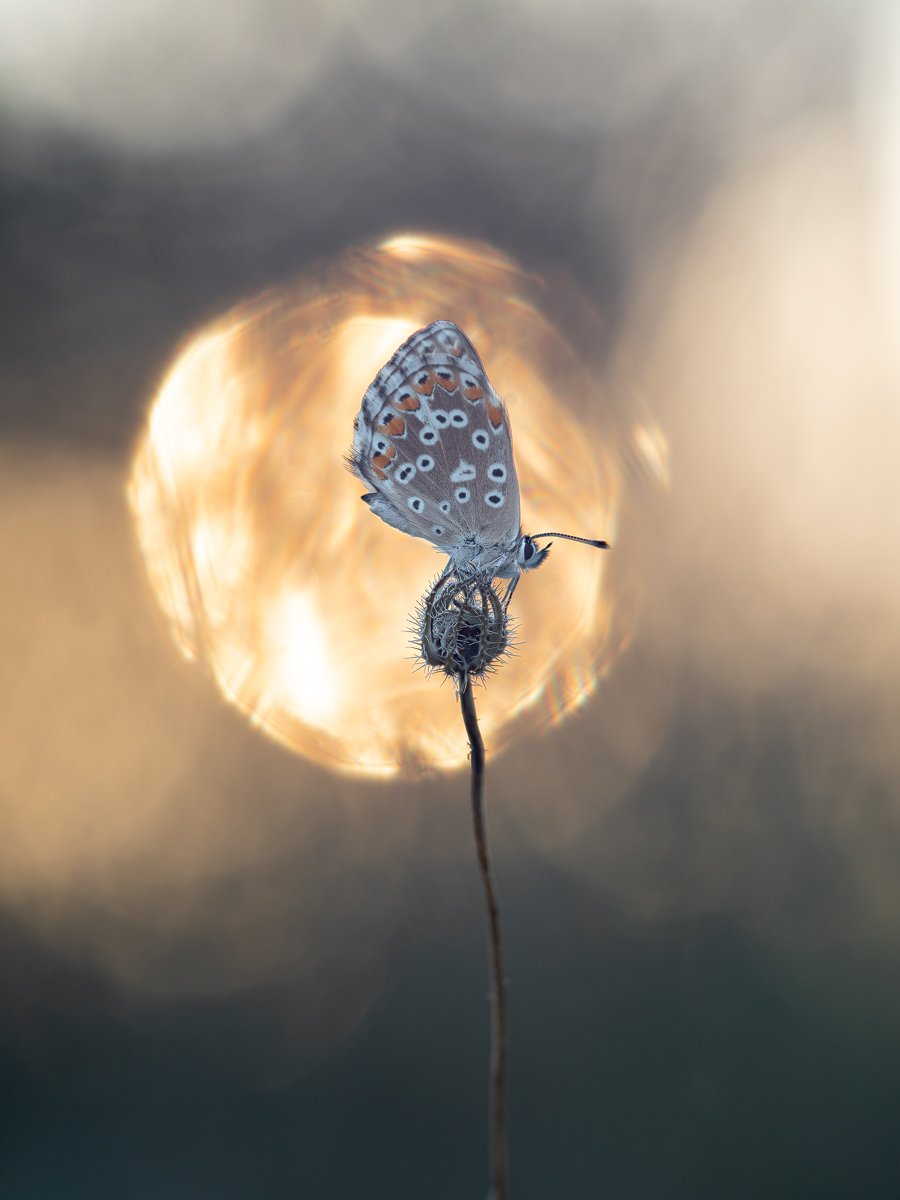 umbrien_blue3.jpg