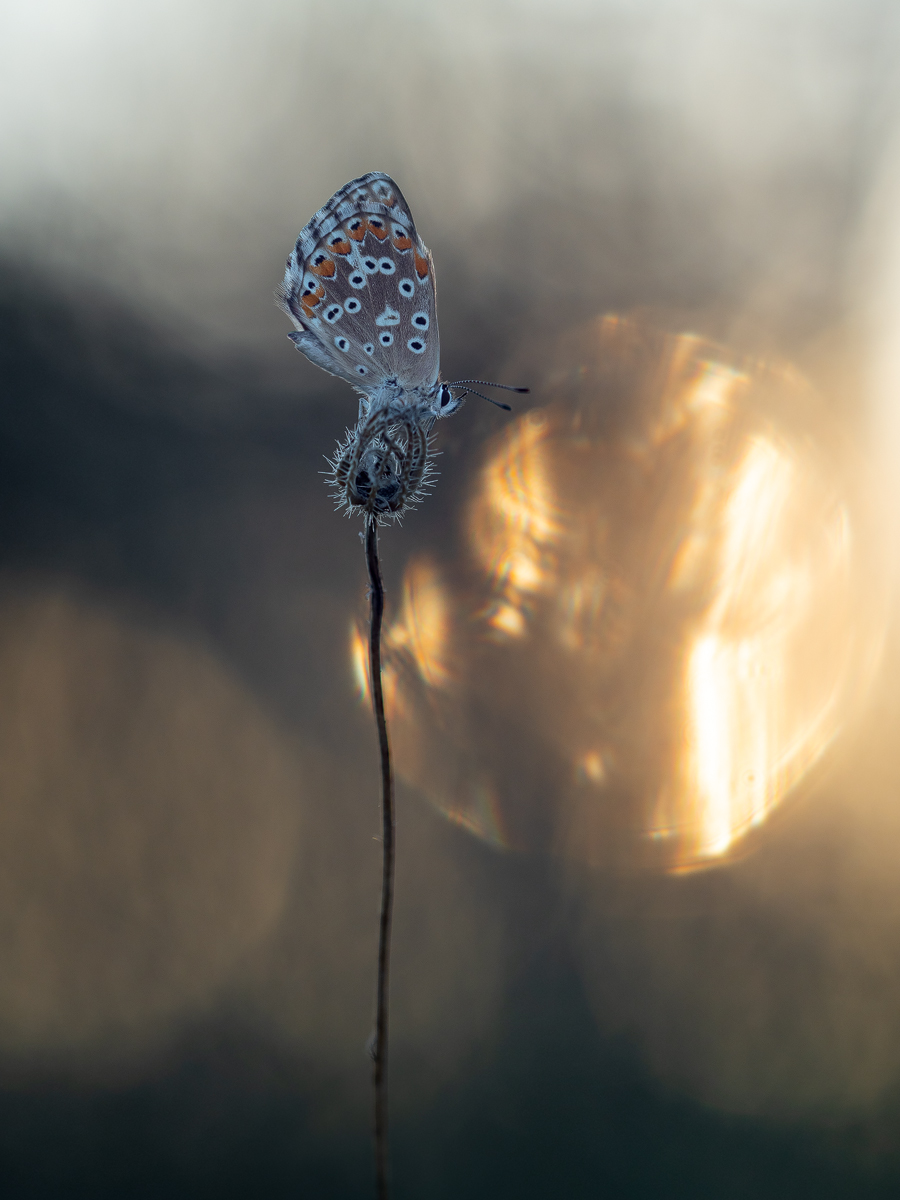 umbrien_blue2.jpg