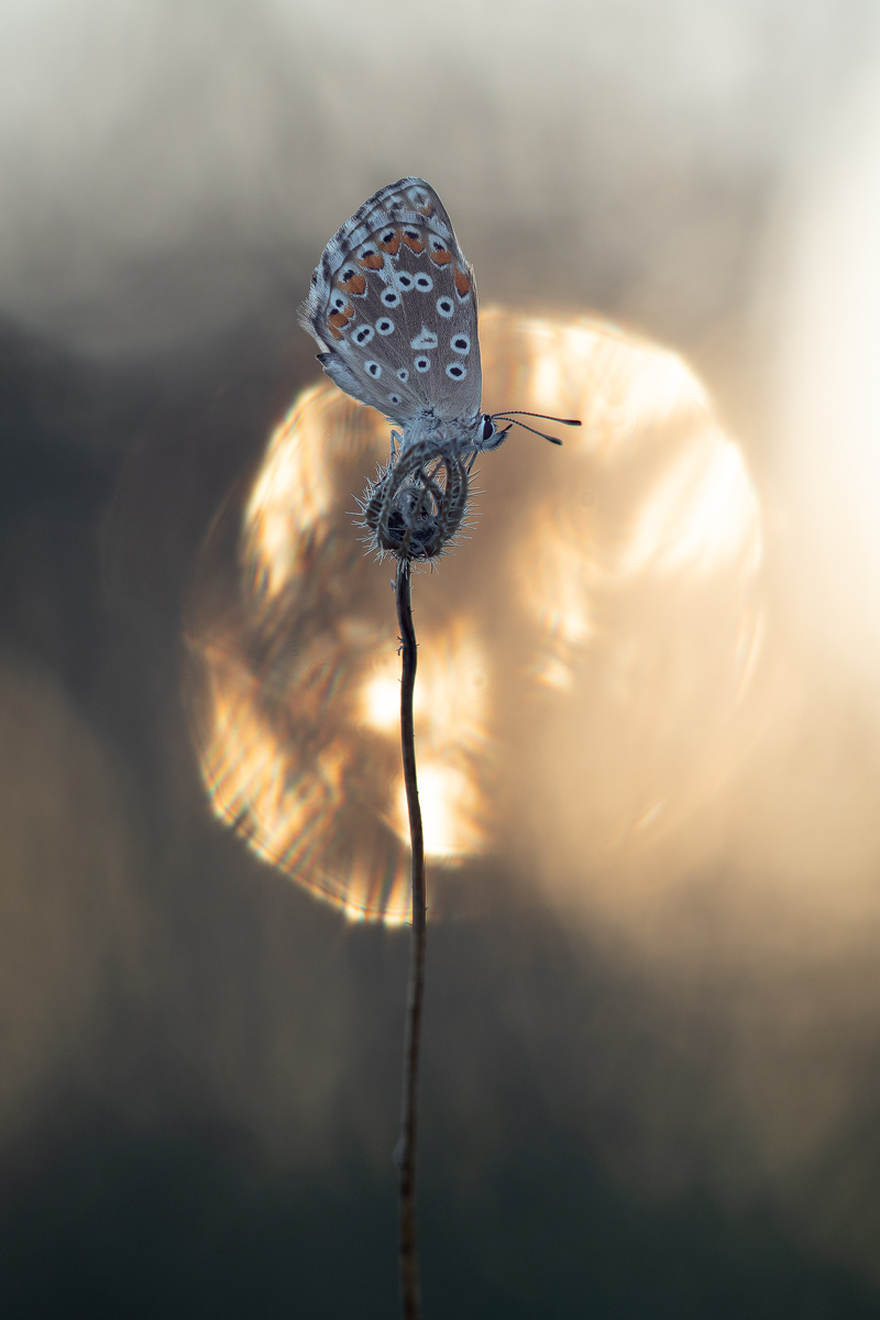 umbrien_blue1.jpg