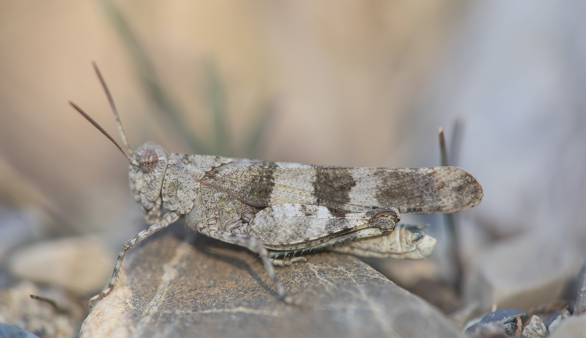 20180822-174216.jpg