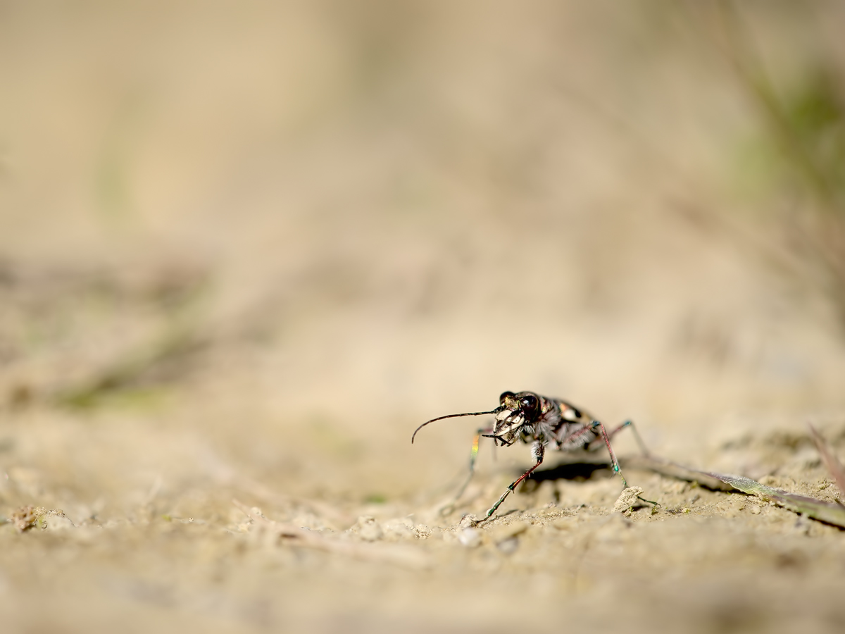 20180908-152034-43.jpg
